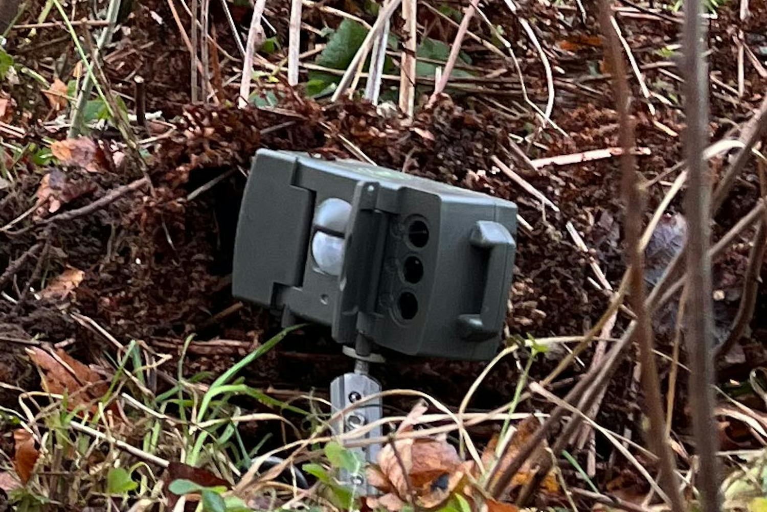 Bevegelsessensor Når bevegelsessensoren registrerer et dyr, tar kameraet et bilde.